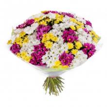 Mixed Bouquet Of Chrysanthemums Mixed Bouquet Of Chrysanthemums
